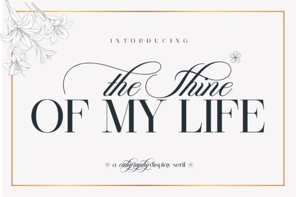 Create H1 From The Shine of My Life MAXIMUM 60 CHARACTERS with Rules Natural, not keyword stuffing, Plain text title only, no list, no explanation, no quotes, no markdown