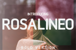 Rosalineo Bold: A Modern Take on a Timeless Typeface